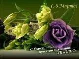 Мужской коллектив УП Элос" поздравляет всех женщин с 8 марта!"